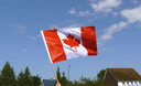 Canada - Drapeau sur hampe PRO 60 x 90 cm