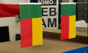 Benin - Little Flag 6x9"