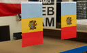Moldova - Little Flag 6x9"