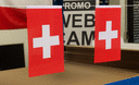 Schweiz - Minifahne 15 x 22 cm