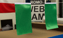 Grüne - Satin Flagge 15 x 22 cm