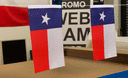 Texas - Satin Flagge 15 x 22 cm
