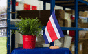 Costa Rica - Drapeau de table 15 x 22 cm, bois