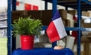 Texas - Table Flag 6x9", wooden