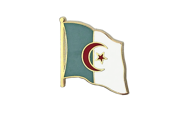 Flaggen Pin Algerien 2 x 2 cm