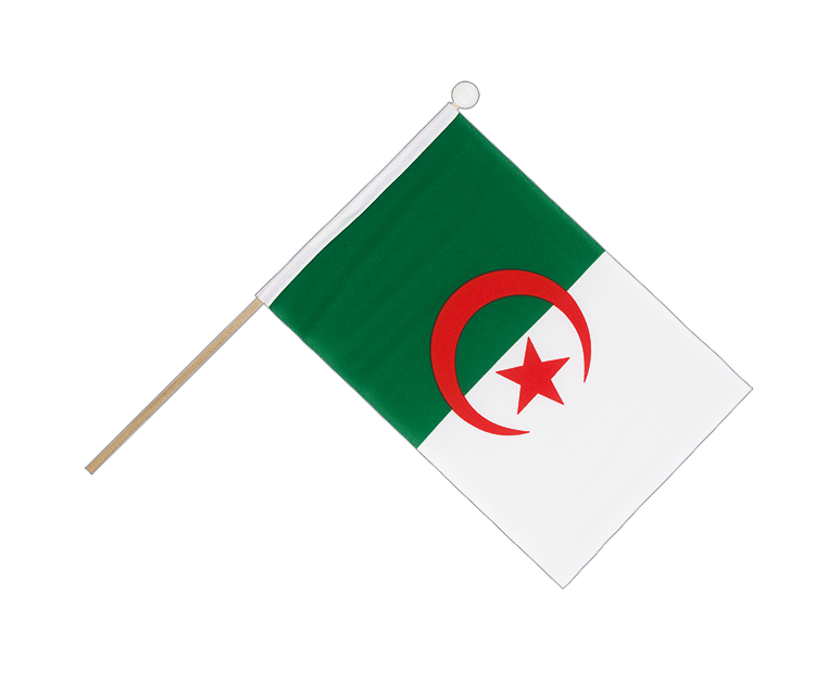 Drapeau Algérie sur hampe 15 x 22 cm