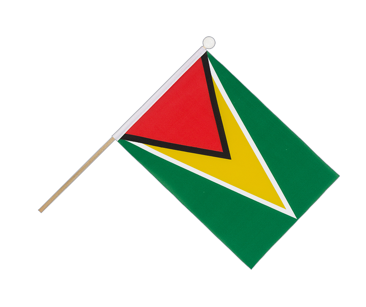 Guyana - Stockfähnchen 15 x 22 cm