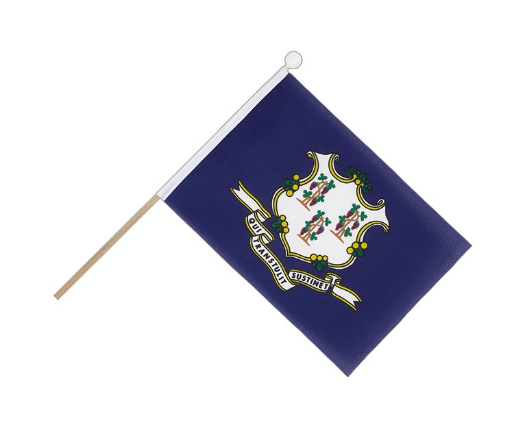 Hand Waving Flag Connecticut - 6x9"