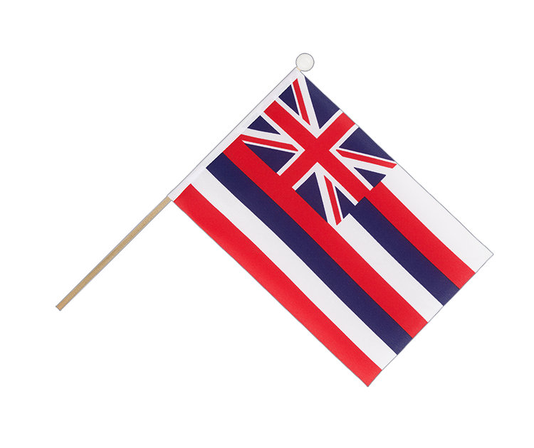 Hawaii - Hand Waving Flag 6x9"