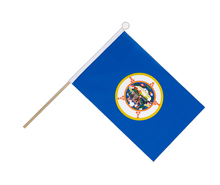 Minnesota - Hand Waving Flag 6x9"