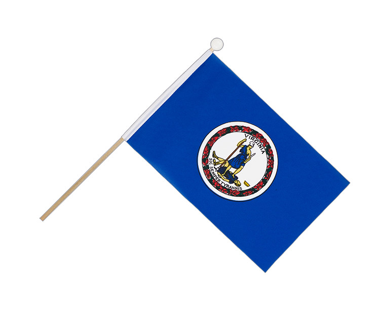 Virginia - Hand Waving Flag 6x9"
