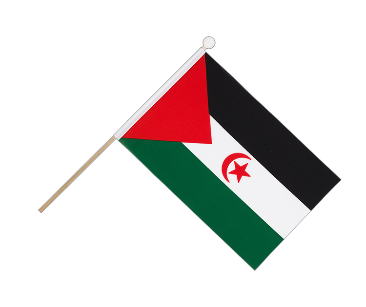 Hand Waving Flag Western Sahara - 6x9"