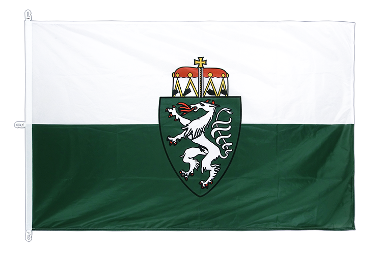 Styria - Flag PRO 200 x 300 cm