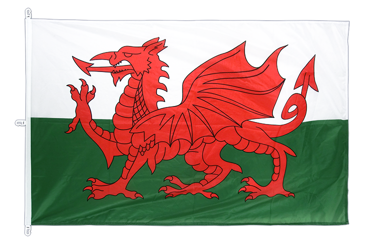 Drapeau Pays de Galles - 200 x 300 cm