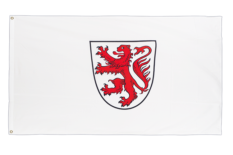 Stadt Braunschweig mit Wappen Flagge 90 x 150 cm