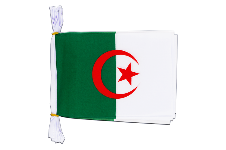 Algérie - Mini Guirlande fanion 15 x 22 cm, 3 m
