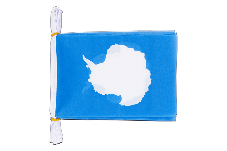Antarctic - Flag Bunting 6x9", 3 m