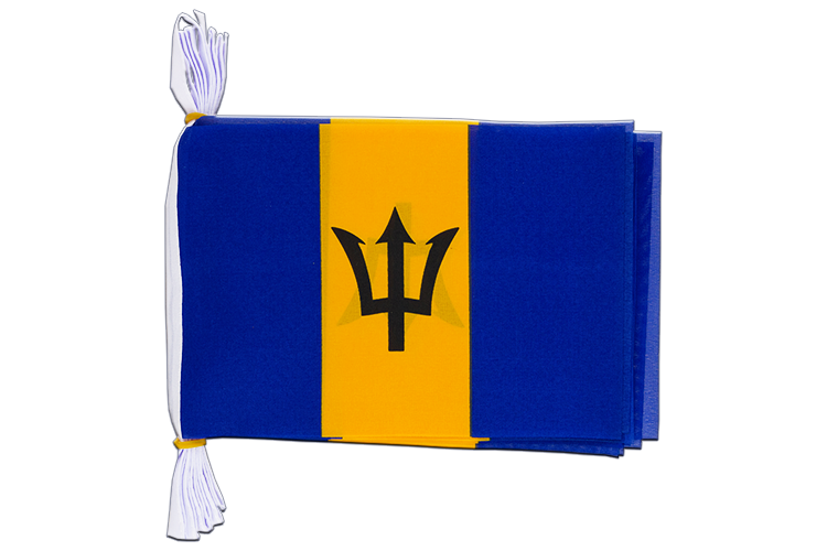 Barbados - Flag Bunting 6x9", 3 m