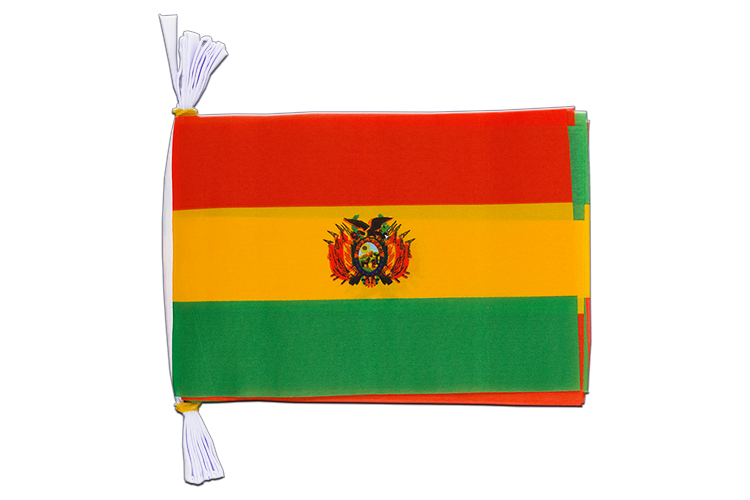 Bolivia Flag Bunting 6x9", 3 m