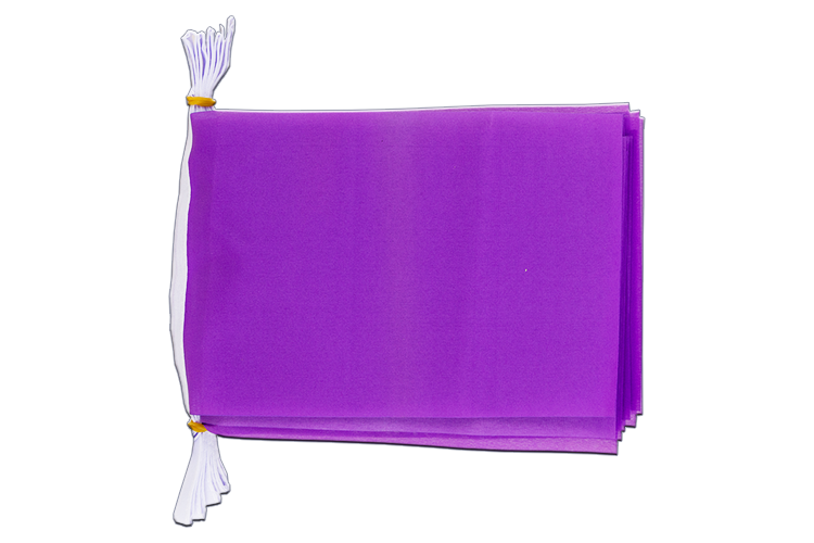 Purple Flag Bunting 6x9", 3 m