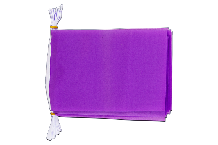 Purple - Flag Bunting 6x9", 3 m