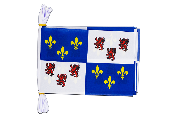 Picardie Flag Bunting 6x9", 3 m