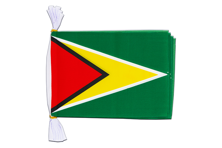 Guyana - Flag Bunting 6x9", 3 m