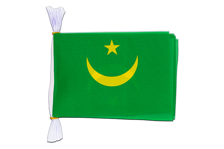 Mauritania - Flag Bunting 6x9", 3 m