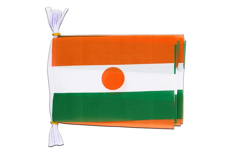 Niger Flag Bunting 6x9", 3 m