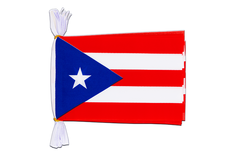 Puerto Rico - Flag Bunting 6x9", 3 m