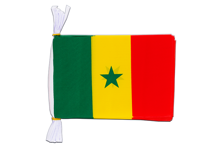 Sénégal - Mini Guirlande fanion 15 x 22 cm, 3 m