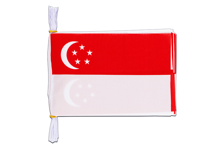 Singapur Fahnenkette 15 x 22 cm, 3 m