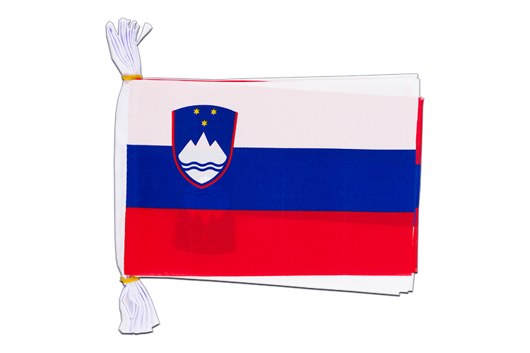 Slovenia - Flag Bunting 6x9", 3 m