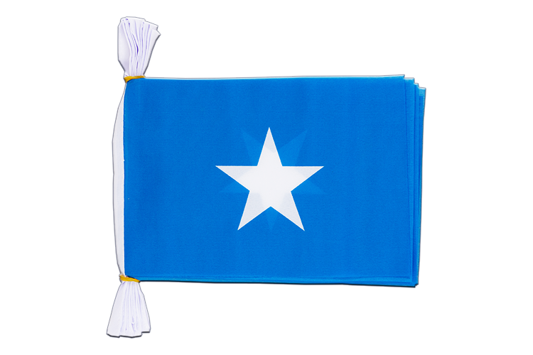 Somalia Flag Bunting 6x9", 3 m