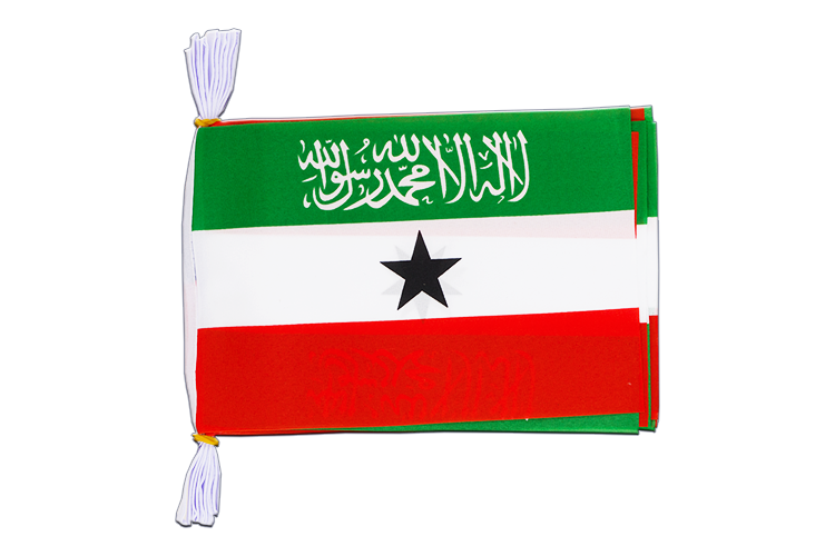 Somaliland - Mini Guirlande fanion 15 x 22 cm, 3 m