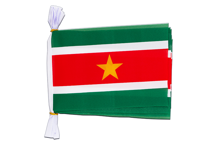 Suriname - Flag Bunting 6x9", 3 m