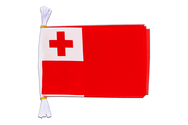 Tonga Flag Bunting 6x9", 3 m