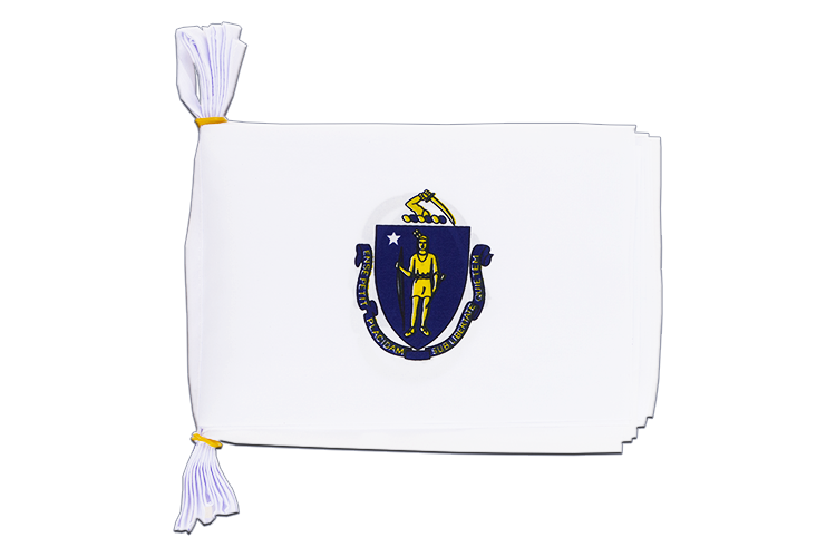 Massachusetts - Flag Bunting 6x9", 3 m