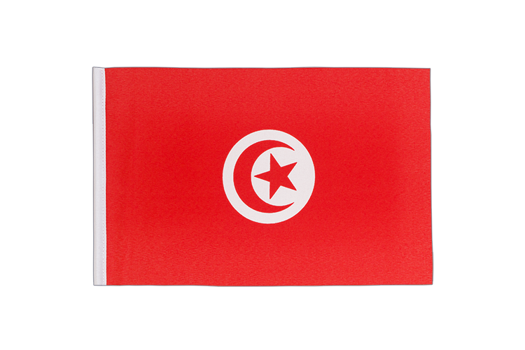 Fanion Tunisie 15 x 22 cm