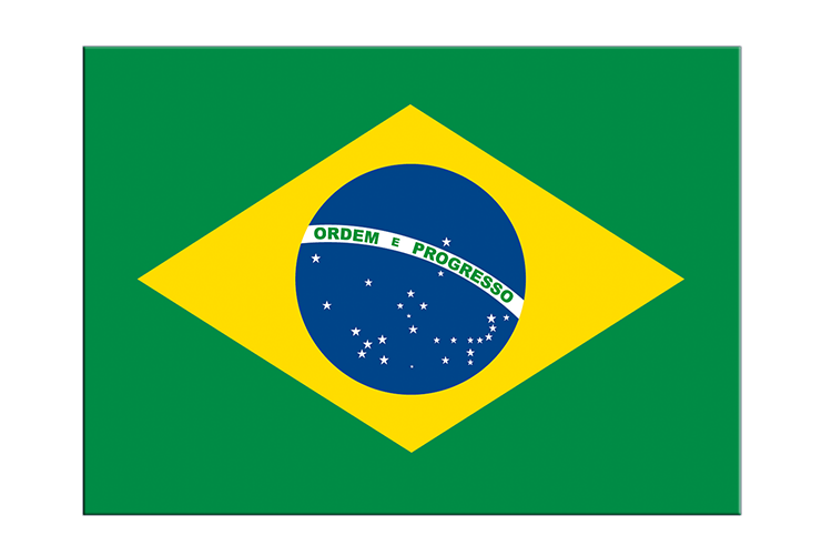 Brasilien Aufkleber, Brasilianische Flagge 7 x 10 cm, 5 Sticker