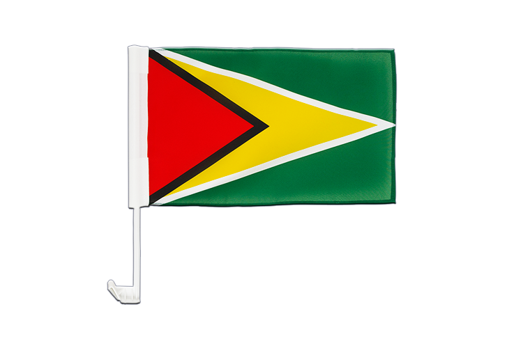 Guyana - Drapeau pour voiture 30 x 40 cm