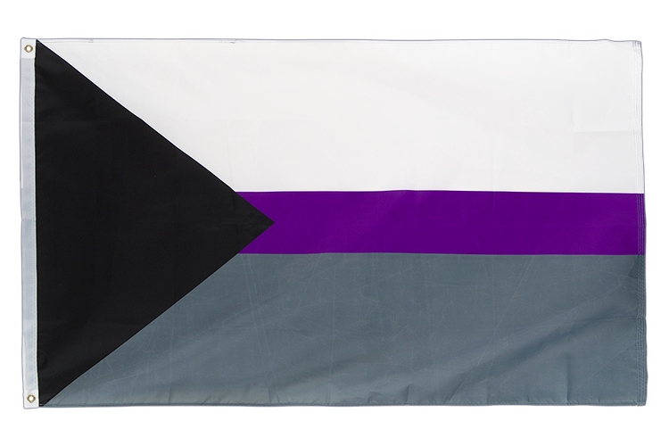 Demisexuell Flagge 90 x 150 cm