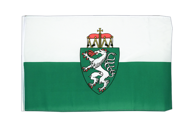 Steiermark Flagge 30 x 45 cm
