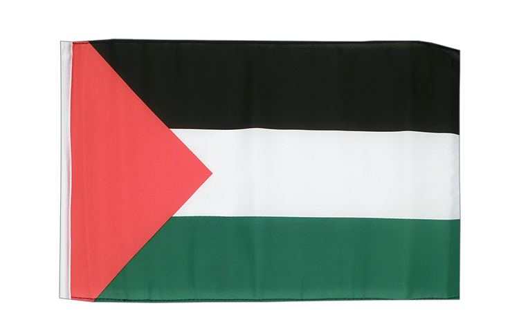 Petit drapeau Palestine 30 x 45 cm