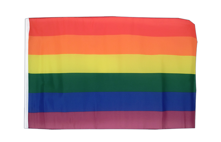 Small Rainbow Flag 12x18"