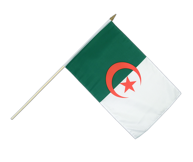 Drapeau Algérie sur hampe 30 x 45 cm