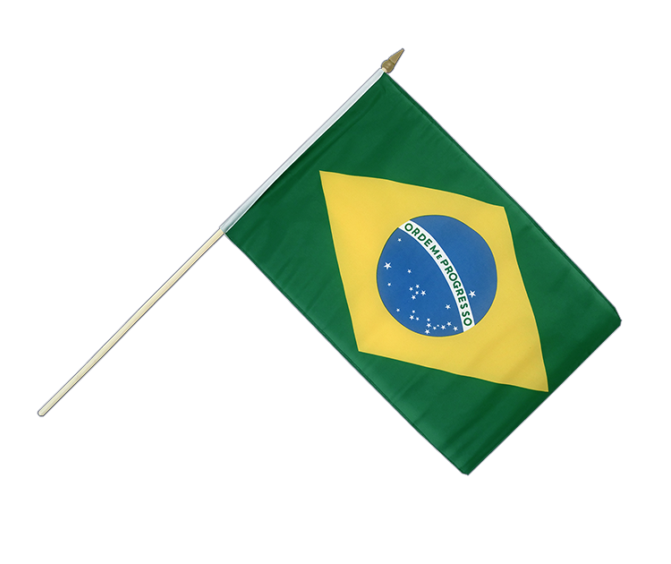 Drapeau Brésil sur hampe 30 x 45 cm