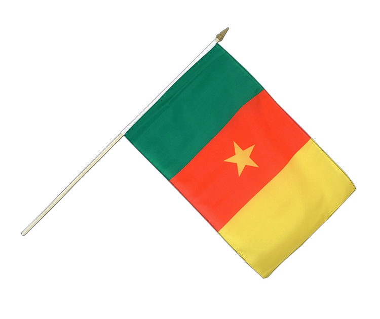 Drapeau Cameroun sur hampe 30 x 45 cm