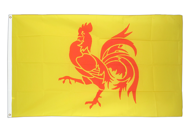 Wallonien Flagge 90 x 150 cm