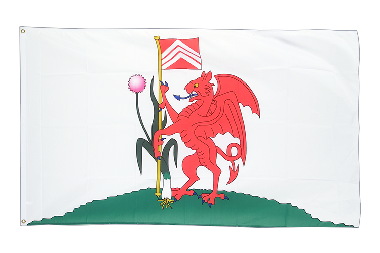 Cardiff City Flagge 90 x 150 cm